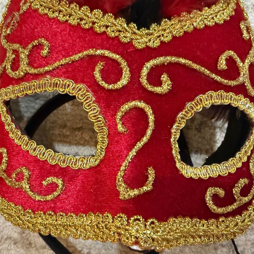 ✨ Ornate Mardi Gras Mask with Headband ✨